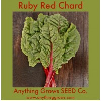 Swiss Chard - Ruby Red - Organic